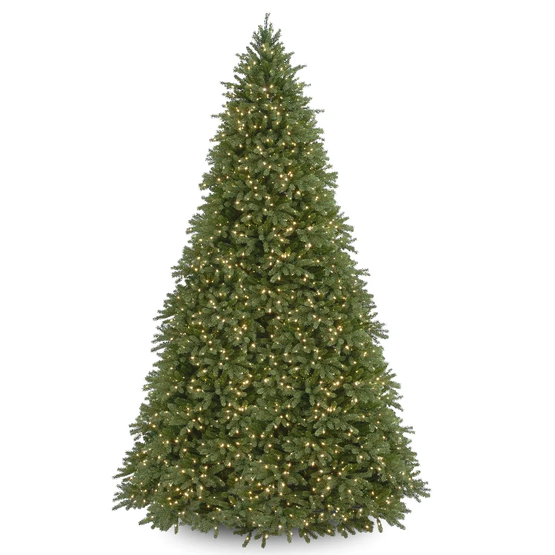 12ft. Pre-Lit Jersey Fraser Fir Tree with Clear Lights