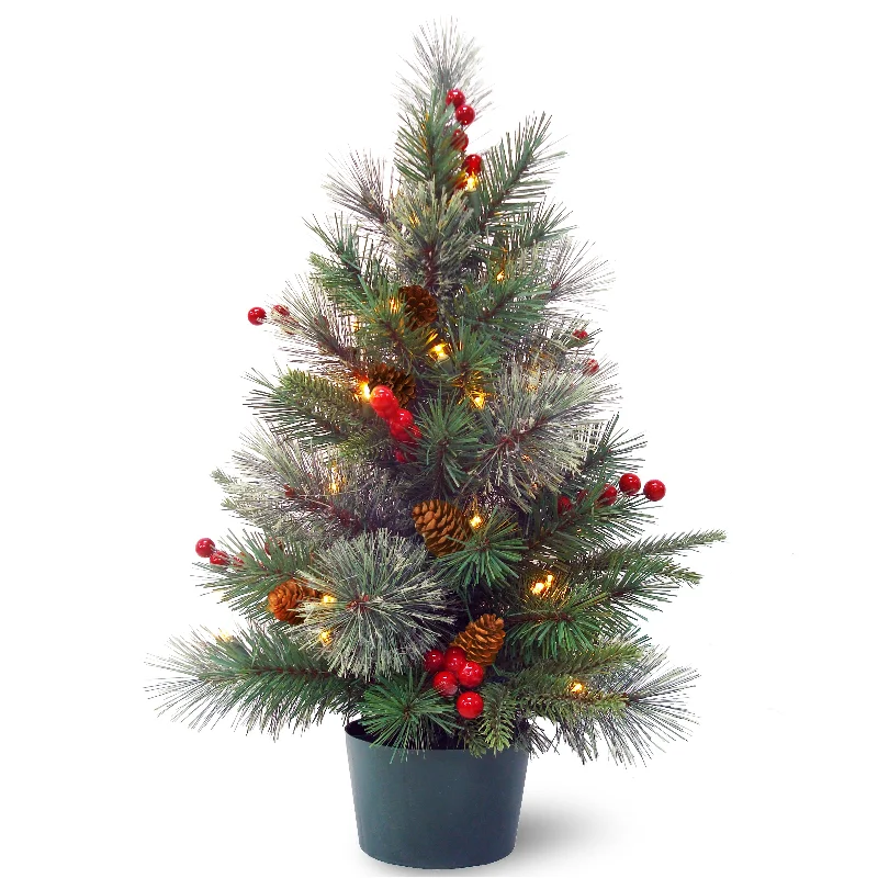 Christmas Jolly Surprises 2 ft. Pre-Lit Colonial Fir Tree with Warm White LED Lights Christmas Jolly Surprises 2 ft. Pre-Lit Colonial Fir Tree with Warm White LED Lights