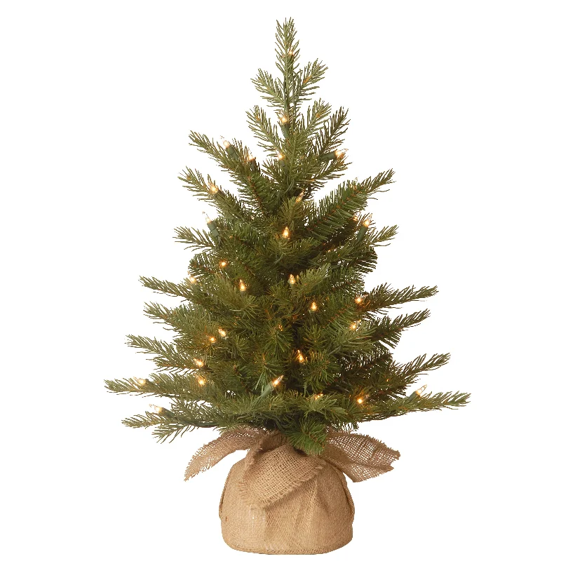 Christmas Santa Surprise 2 ft. Pre-Lit Nordic Spruce Tree with Clear Lights