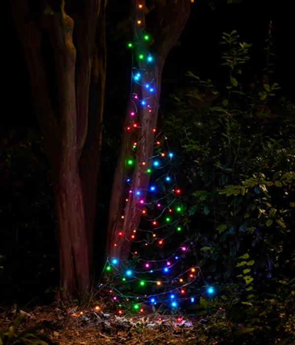 Christmas Outdoor Lights