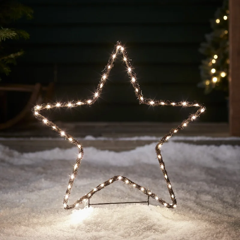 Christmas Holiday Goodies 2 Willow Star Stake Lights
