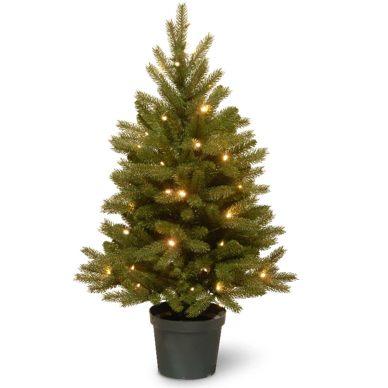 Christmas Snow Covered Roof 4 ft. Pre-Lit Jersey Fraser Fir Tree with Warm White LED Lights Christmas Snow Covered Roof 4 ft. Pre-Lit Jersey Fraser Fir Tree with Warm White LED Lights
