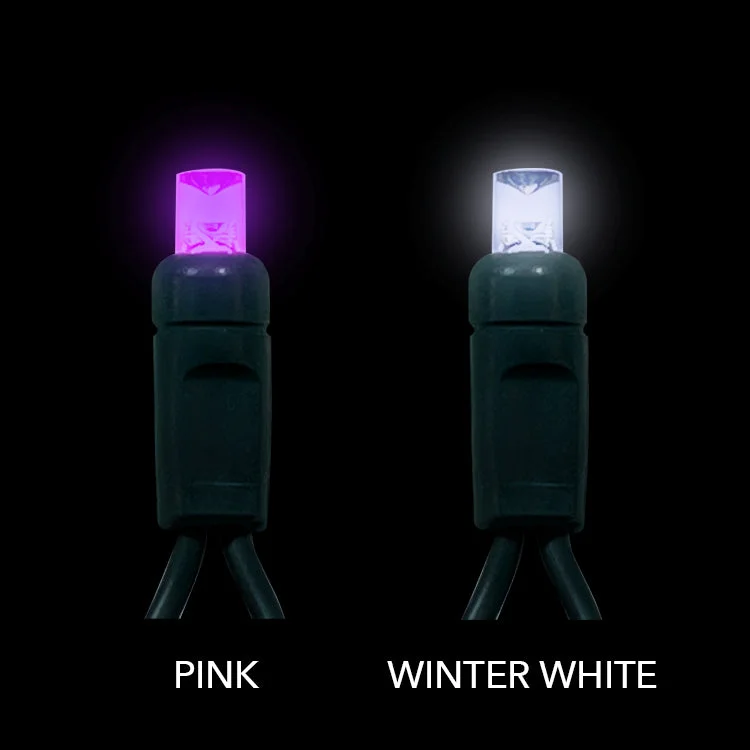 Winter White