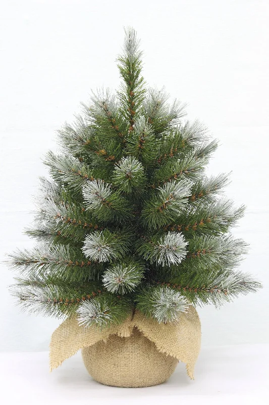 Christmas Tree <br> 1.5ft Pittsburgh Spruce (46cm)