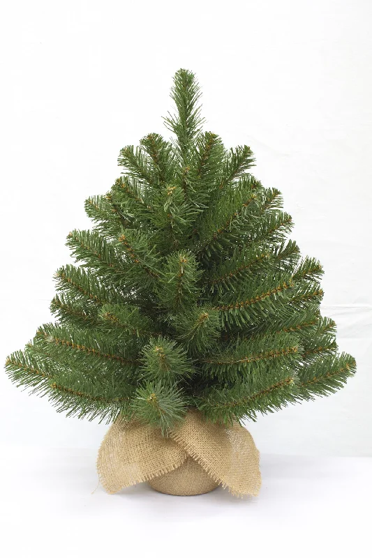 Christmas Tree <br> 2ft Alpine Spruce (61cm)