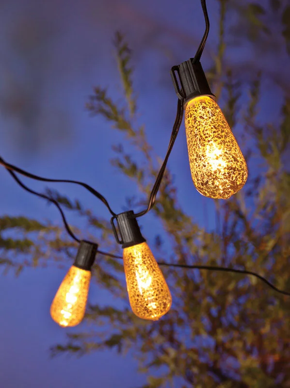 Christmas Fairy Lights Living Accents  Light Set  9 ft.