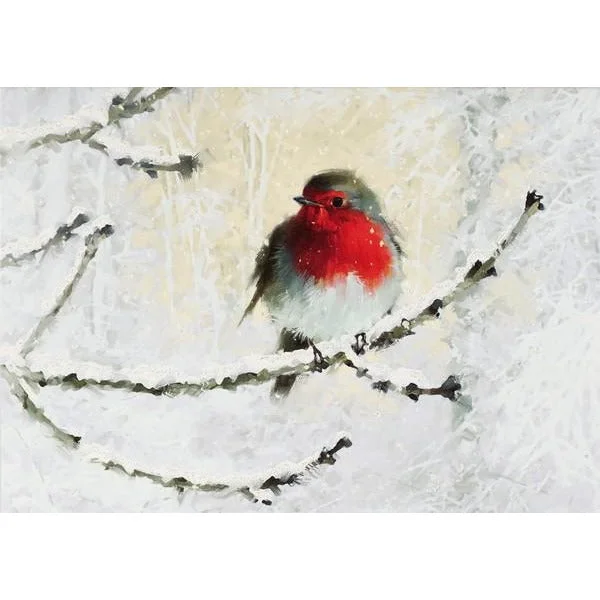 English Robin Boxed Holiday Cards | Set of 20