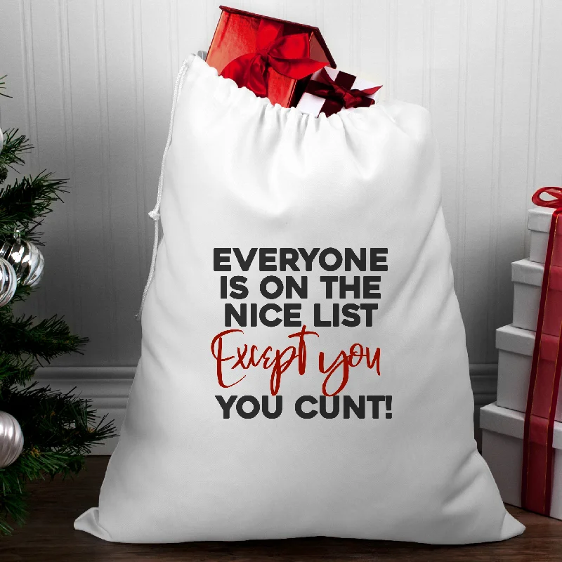 Christmas Cozy Blankets Except You Cunt Santa Sack