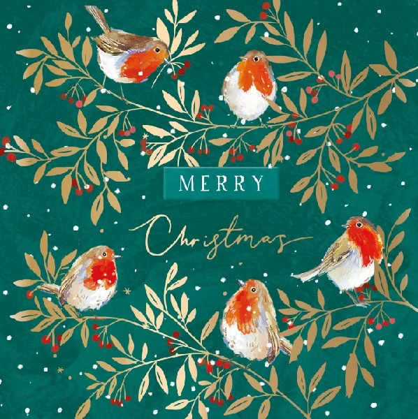 Christmas Robins Christmas Cards Pack | Set of 10