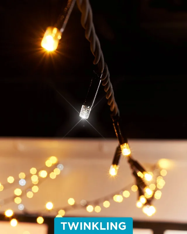 Christmas Family Fun Night LINK PRO Twinkle LED String Lights, Black Cable, Warm White / White