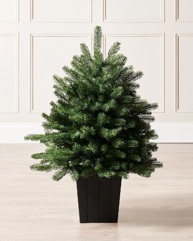 Christmas Winter Festival Mixed Pine Traditional Potted Christmas Tree, 3 ft