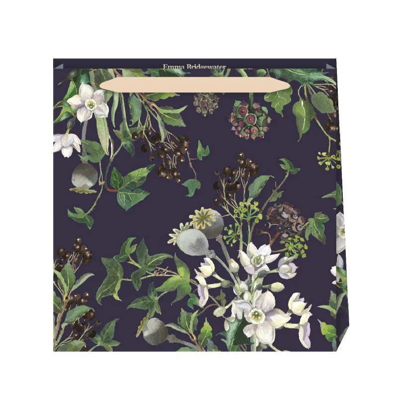 Christmas Star Gazing Penny Kennedy Emma Bridgewater Medium Gift Bag