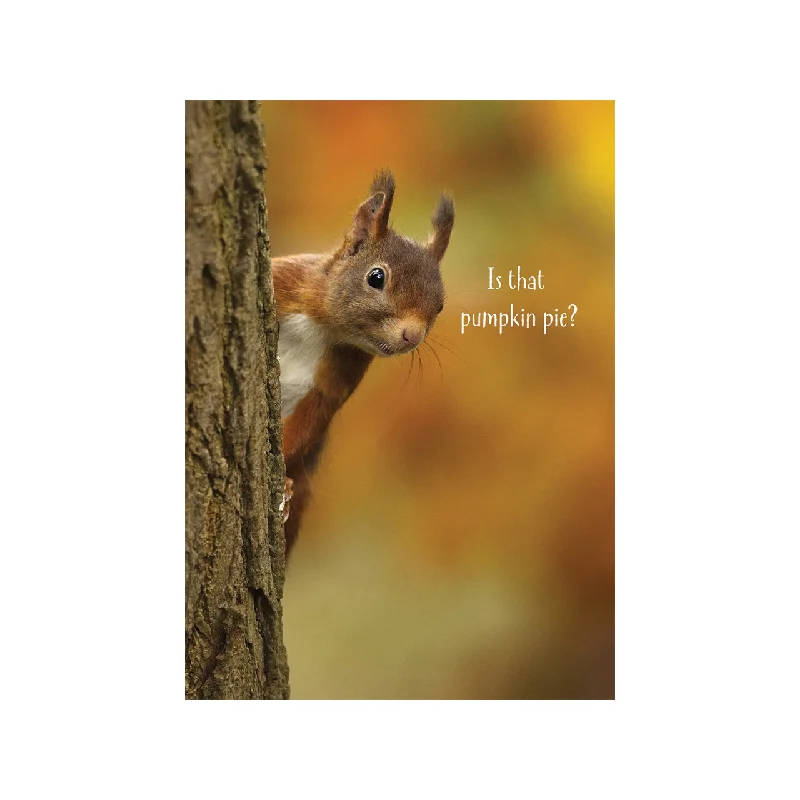 Christmas Reindeer Bells Pumpkin Pie Squirrel Thanksgiving Card