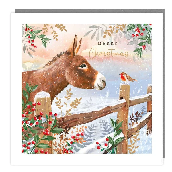 Donkey Holiday Card Pack | Set of 5