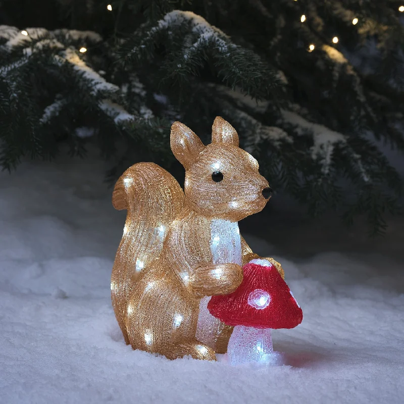 Christmas Star Gazing 32cm Twiggy the Squirrel & Toadstool LED 3D Acrylic Figure