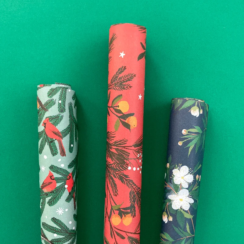 Christmas Star Gazing Winter Flora & Fauna Gift Wrap Set