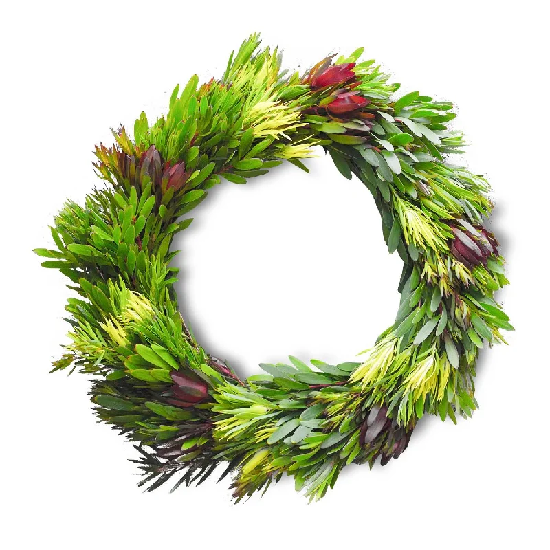 Leucadendron Wreath 12"