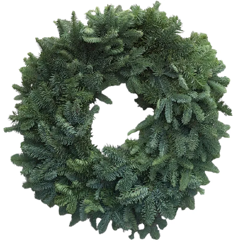 Plain Noble Wreath 20"