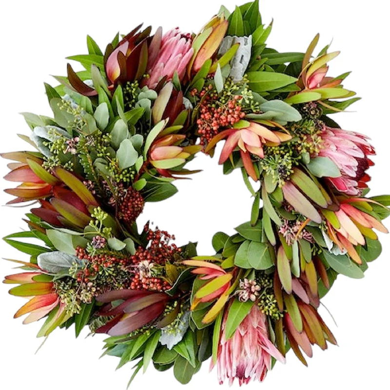 Protea Wreath 18"