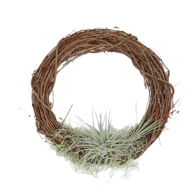 Tillandsia Wreath 14"