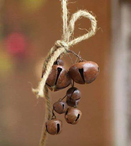 Bells on Jute Cluster