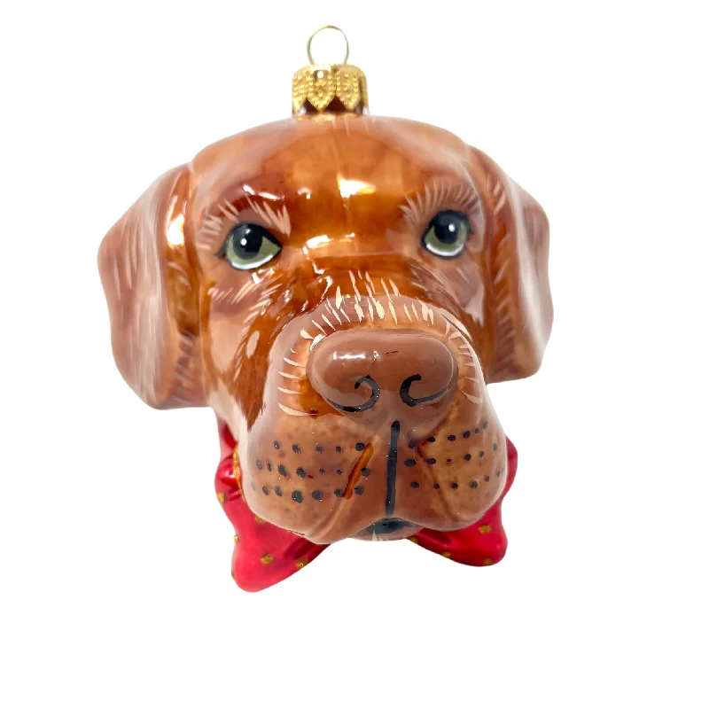 Christmas Gift Boxes Chocolate Labrador Blown Glass Christmas Ornament