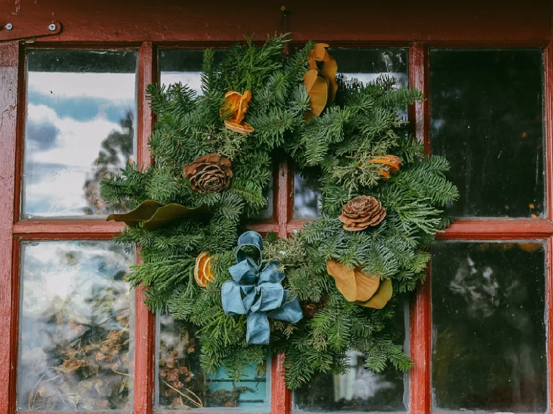 Frosted Citrus Charm Wreath - 22 Inch