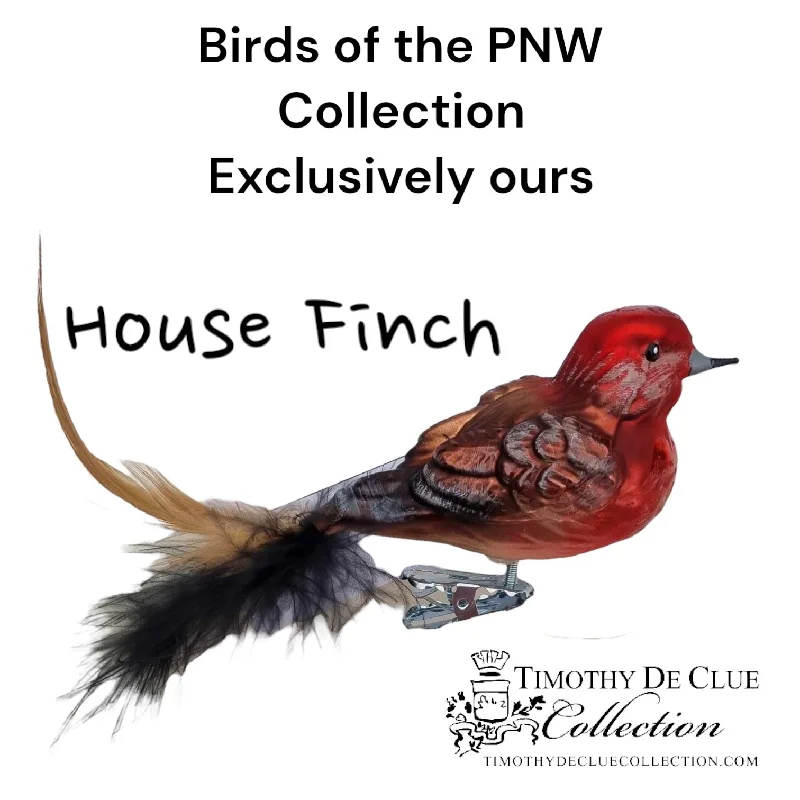 Christmas Green Wreath House Finch Clip Bird feather Tail- Hand Blown Glass Christmas Ornament | Made in Germany Christmas Green Wreath House Finch Clip Bird feather Tail- Hand Blown Glass Christmas Ornament | Made in Germany