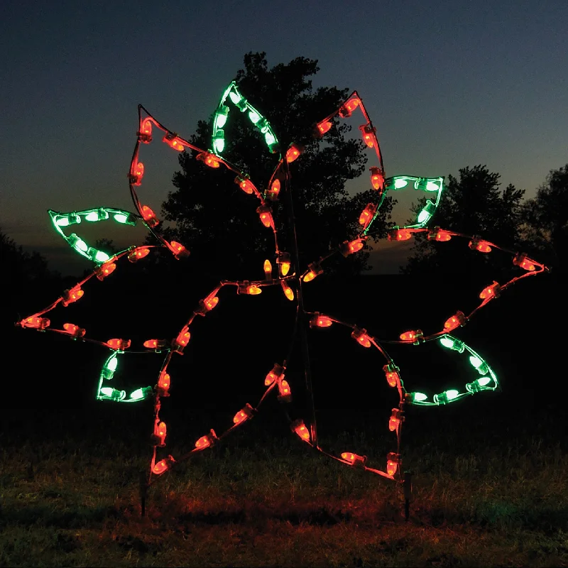 Large Poinsettia  (1461-N)*SOLD OUT FOR 2024 SEASON -Pre Order now for next year*