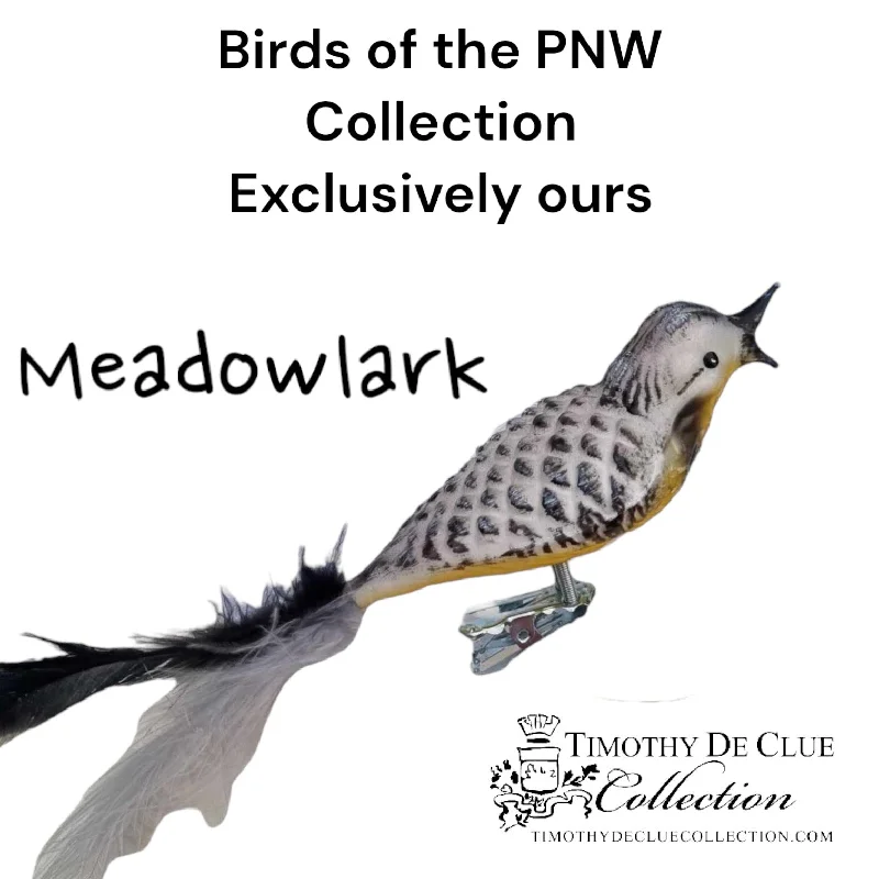Christmas Toy Workshop Meadowlark Clip Bird feather Tail- Hand Blown Glass Christmas Ornament | Made in Germany Christmas Toy Workshop Meadowlark Clip Bird feather Tail- Hand Blown Glass Christmas Ornament | Made in Germany