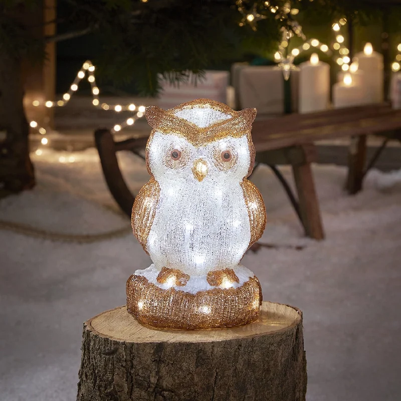 Christmas Jolly Decorations 24cm Oscar the Owl LED 3D Acrylic Figure