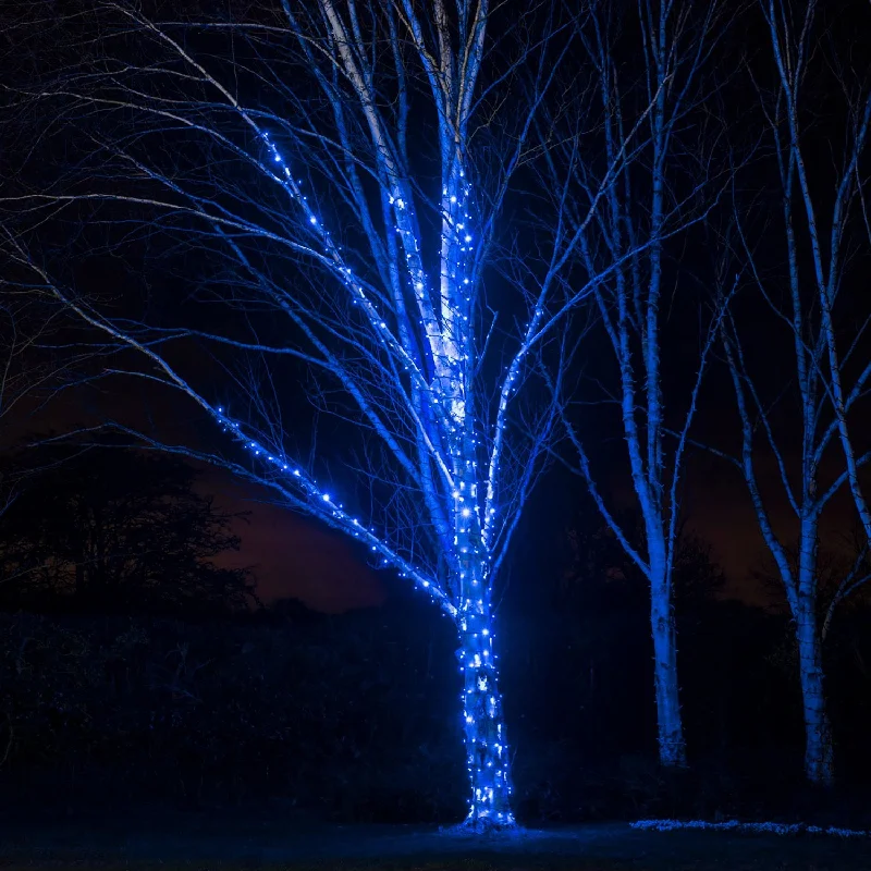 Christmas Beautiful Wreath Pro Connect 190m 1900 Blue Connectable String Lights Black Cable Christmas Beautiful Wreath Pro Connect 190m 1900 Blue Connectable String Lights Black Cable