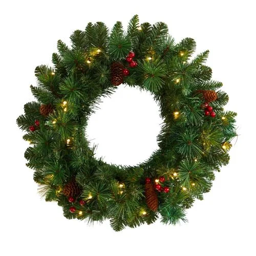 20" Frosted Pine Artificial Christmas Wreath with Pinecones, Berries and 35 Warm White LED Lights